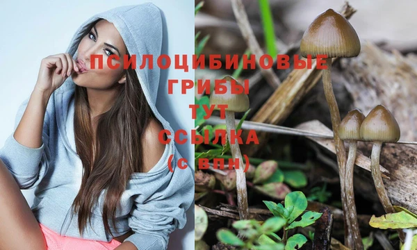 шишки Верхнеуральск